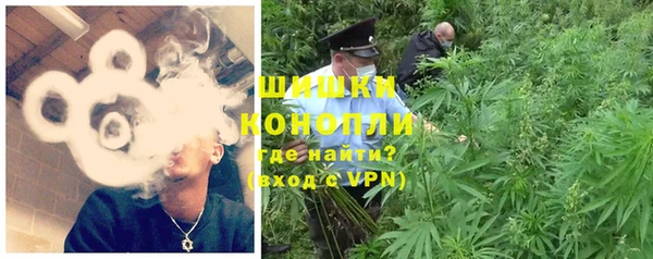 МДПВ Сосновоборск